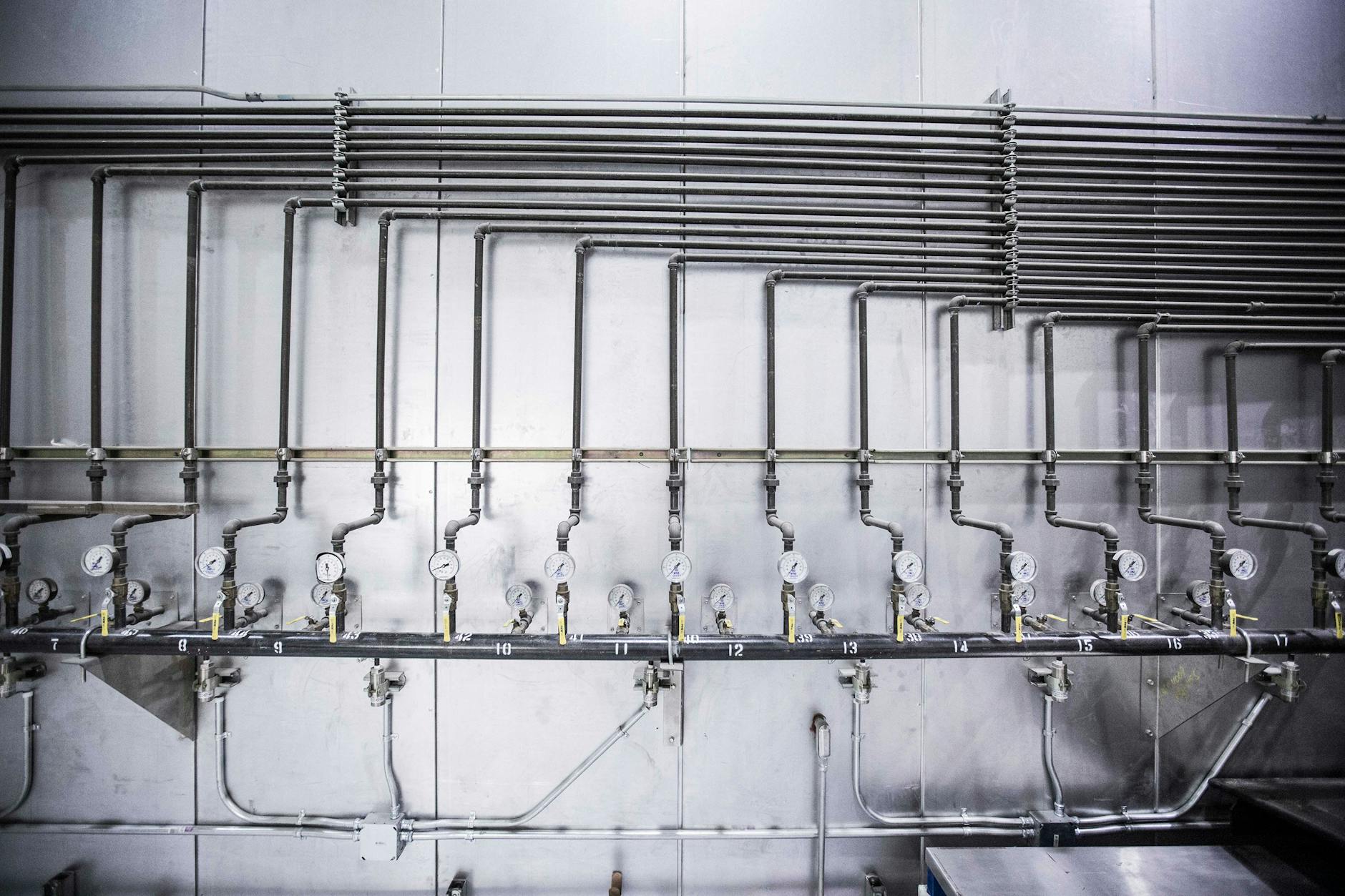 Manifold